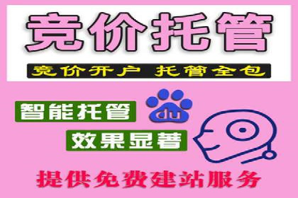 百度推广公司案例解析：如何利用大数据优化营销策略